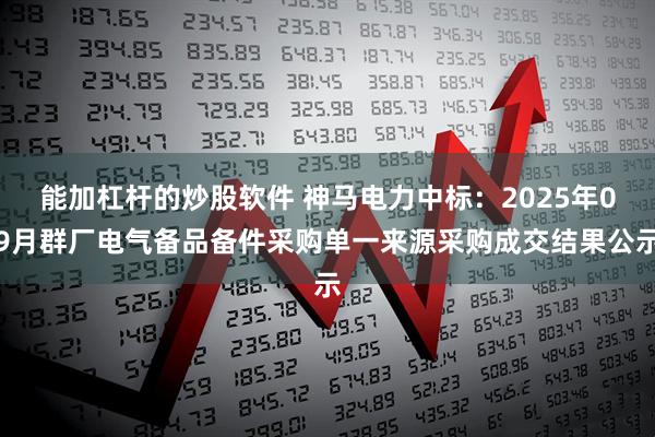 能加杠杆的炒股软件 神马电力中标：2025年09月群厂电气备品备件采购单一来源采购成交结果公示