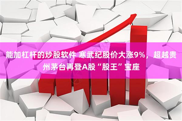 能加杠杆的炒股软件 寒武纪股价大涨9%，超越贵州茅台再登A股“股王”宝座