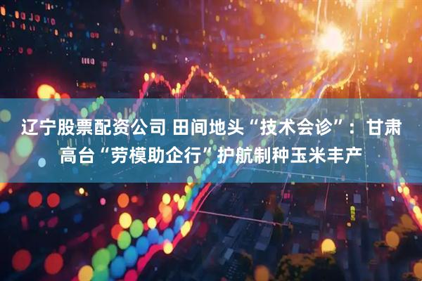 辽宁股票配资公司 田间地头“技术会诊”：甘肃高台“劳模助企行”护航制种玉米丰产